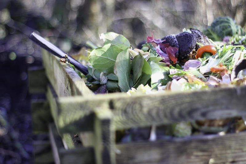 Homemade Compost