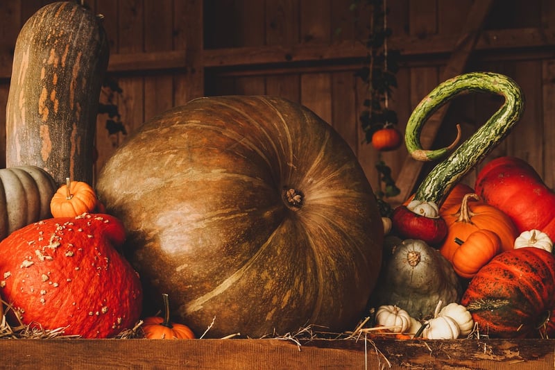 Harvest Festival